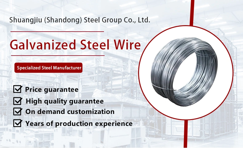 Recommend Wire Steel Bwg16 Galvanized Spring Steel Wire for Sale